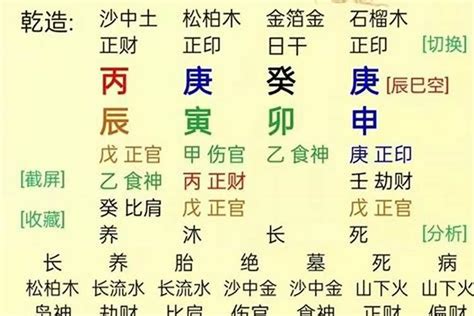 八字 屬性 怎麼看